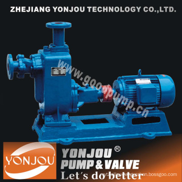 Yonjou Sewage Pump